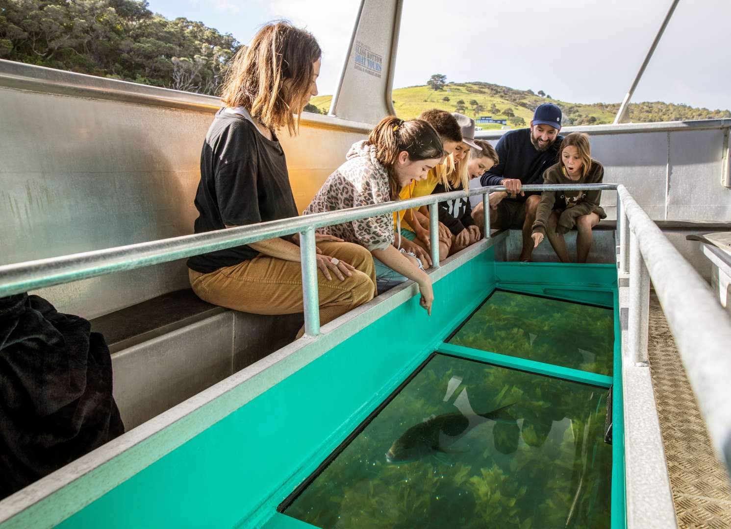 Glass Bottom Boat viewing Marine Life Auckland